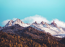 从引援备胎到锋线主角 莫拉塔已成C罗理想搭档？